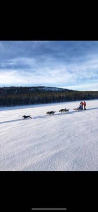 Northern Light Huts - Paradise Lapland Kiruna Bagian luar foto